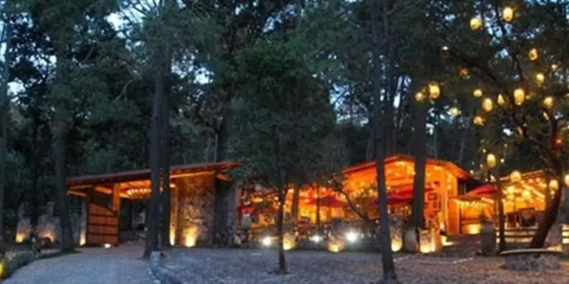 ホテル Cabañas La Vid Del Bosque