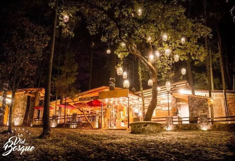 ホテル Cabañas La Vid Del Bosque