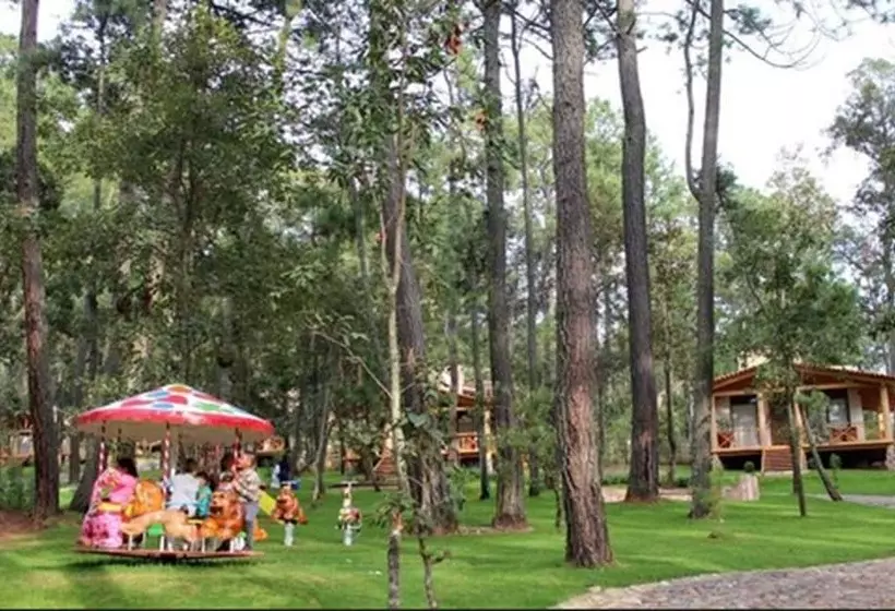 ホテル Cabañas La Vid Del Bosque