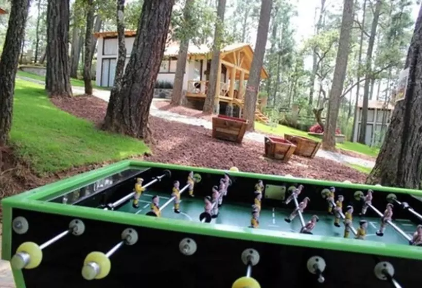 ホテル Cabañas La Vid Del Bosque