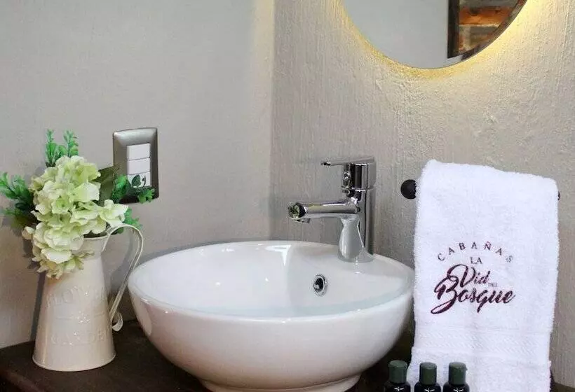 ホテル Cabañas La Vid Del Bosque