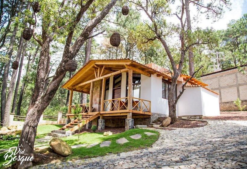 בית מלון כפרי Cabañas La Vid Del Bosque
