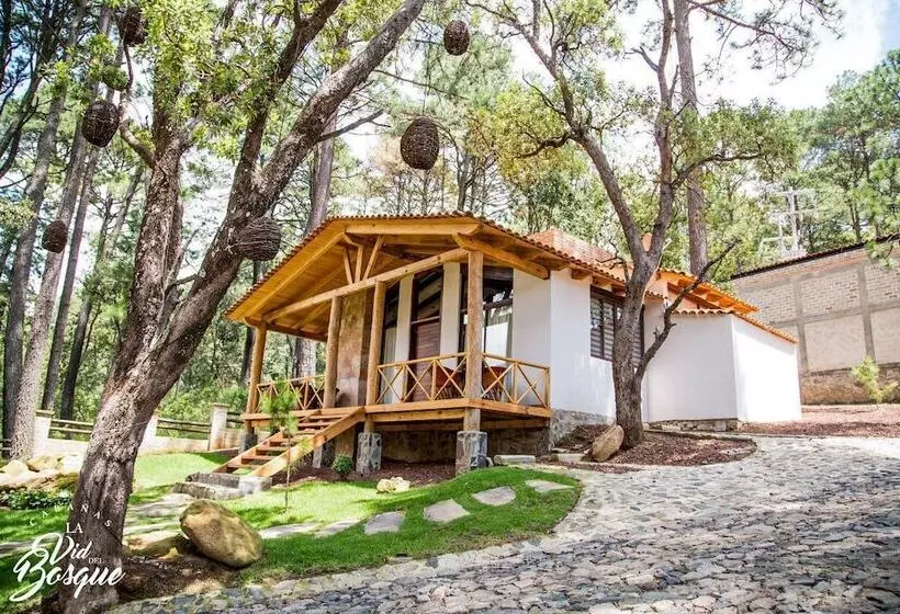 ホテル Cabañas La Vid Del Bosque