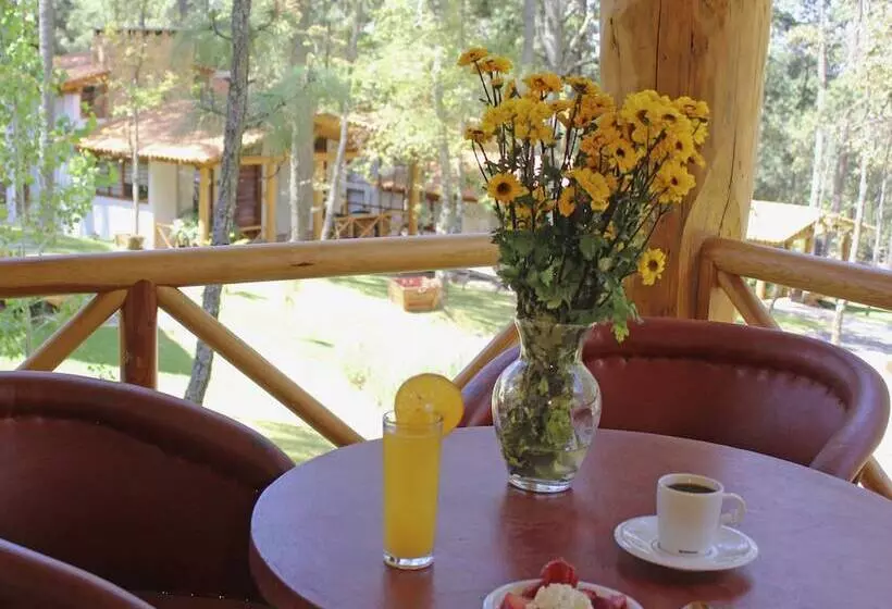 ホテル Cabañas La Vid Del Bosque