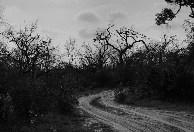 Resort Wilpattu Lake Nest