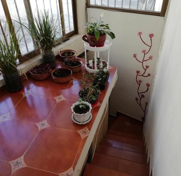 هاستل Casa Cantares