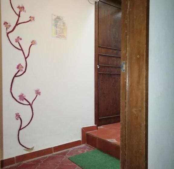 هاستل Casa Cantares