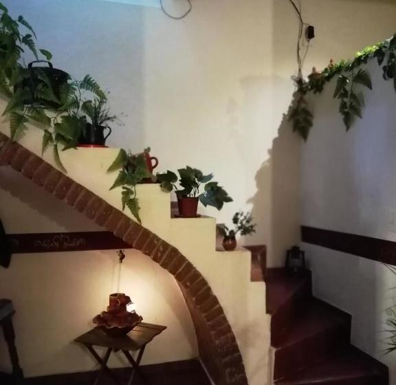 هاستل Casa Cantares