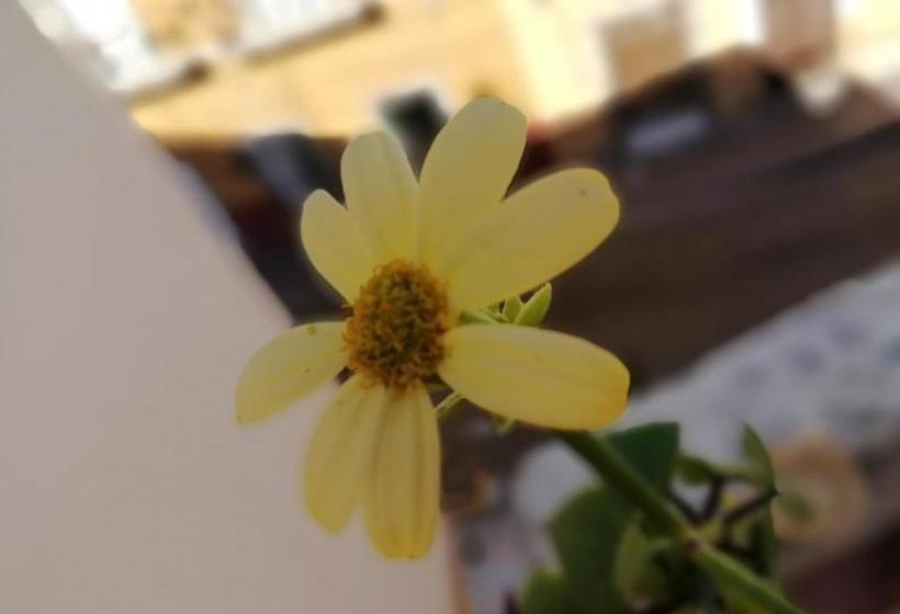 هاستل Casa Cantares