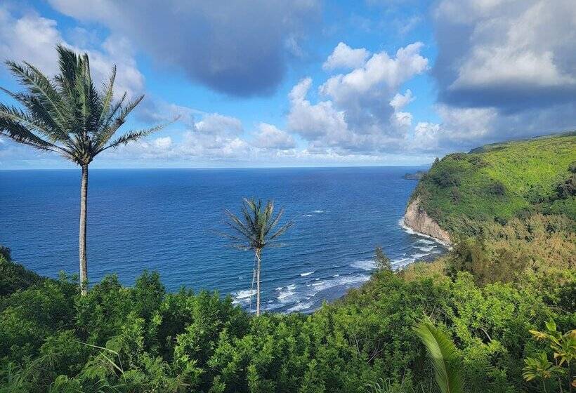 הוסטל Kohala Village Inn