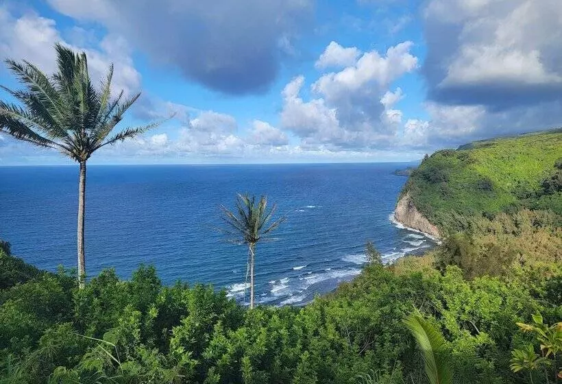 Retkeilymaja Kohala Village Inn