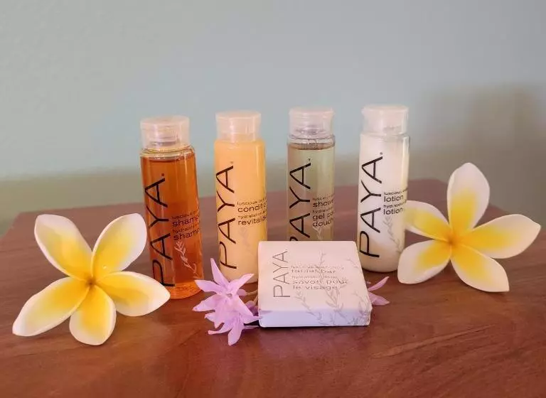 Retkeilymaja Kohala Village Inn