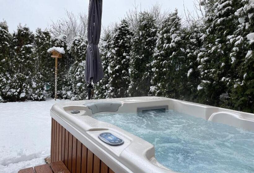 ベッドアンドブレックファースト Villa Aruba & Private Spa Suites