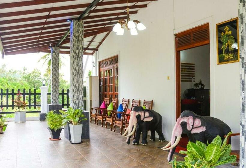 Отель River Vally Inn