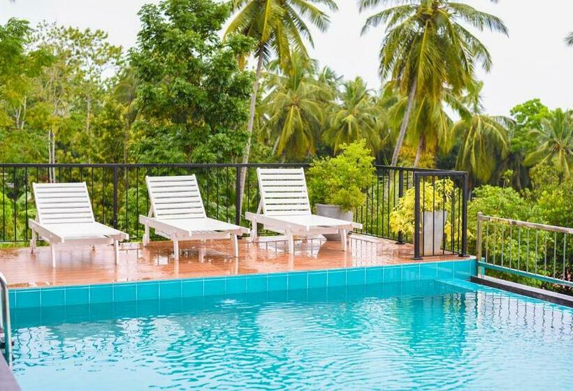 Отель River Vally Inn