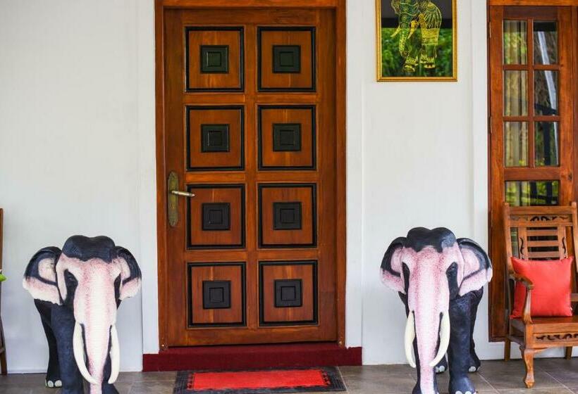 Отель River Vally Inn