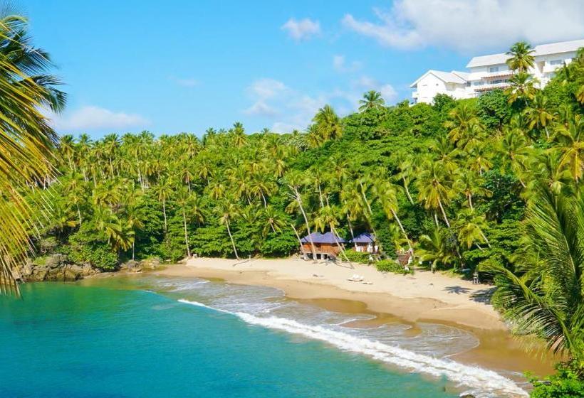 Bluebay Vacation Rentals At Vista Mare