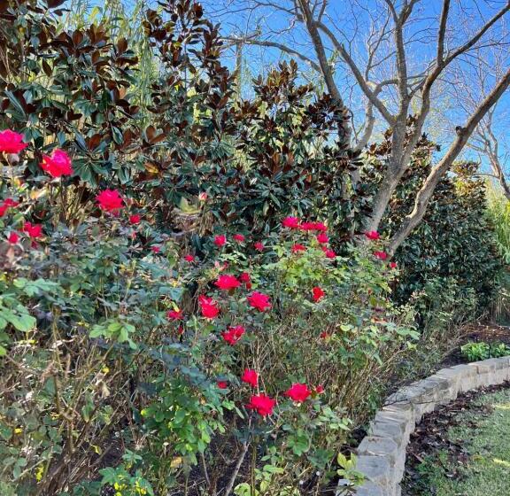 צימר The Plantation House Boutique Inn