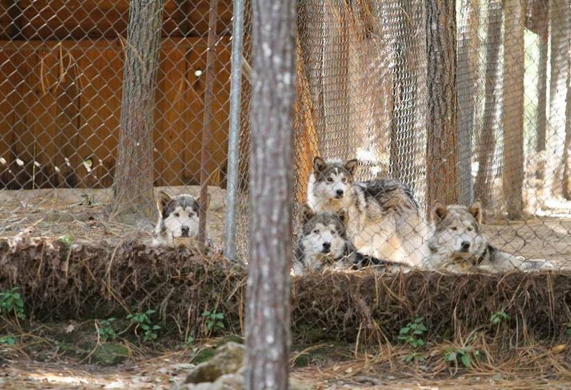 فندق Molinillos Mountain Resort