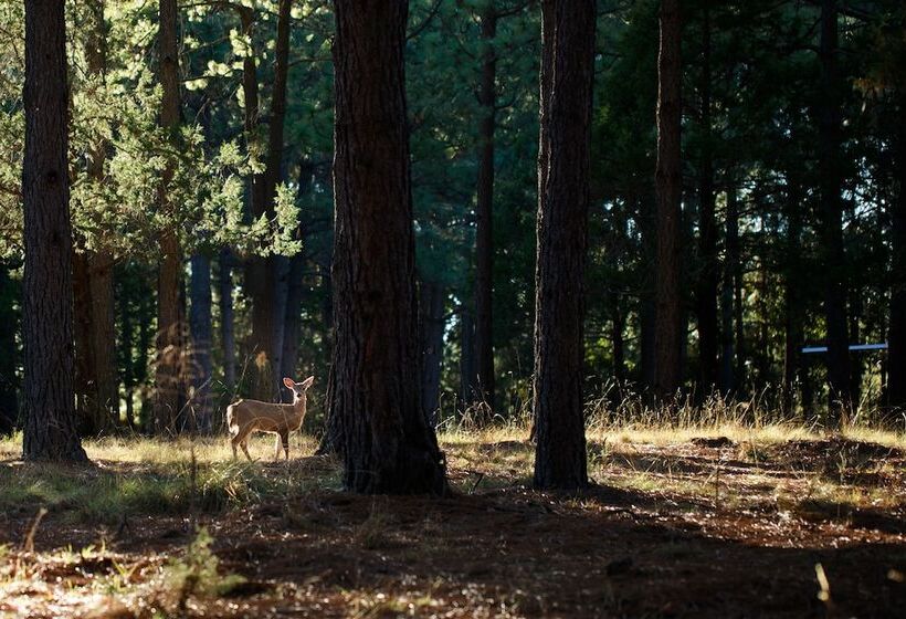 فندق Molinillos Mountain Resort