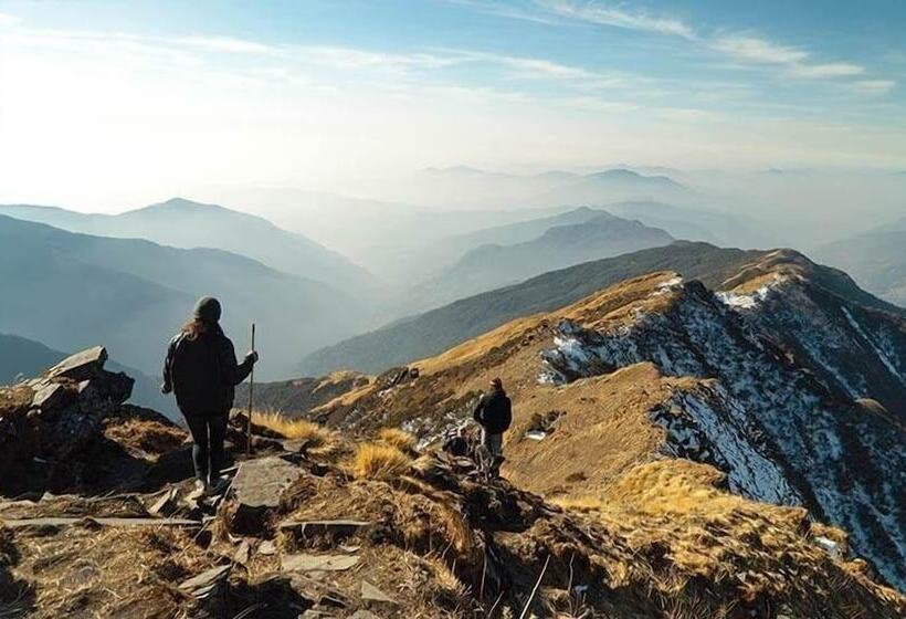 酒店 Maison Aribert