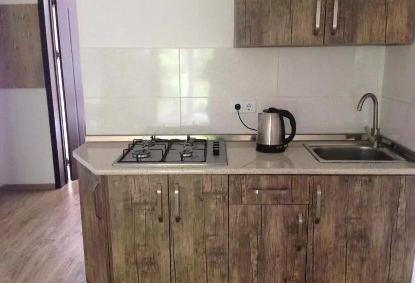 پانسیون Continental