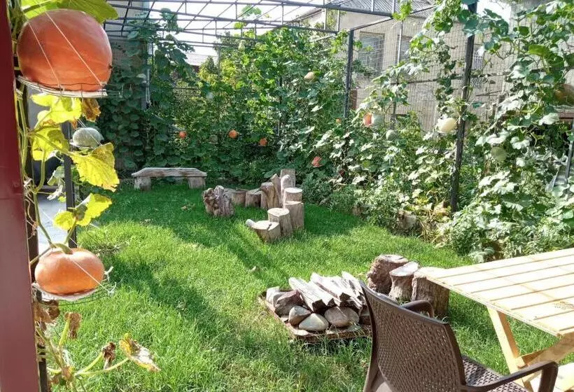 پانسیون Continental