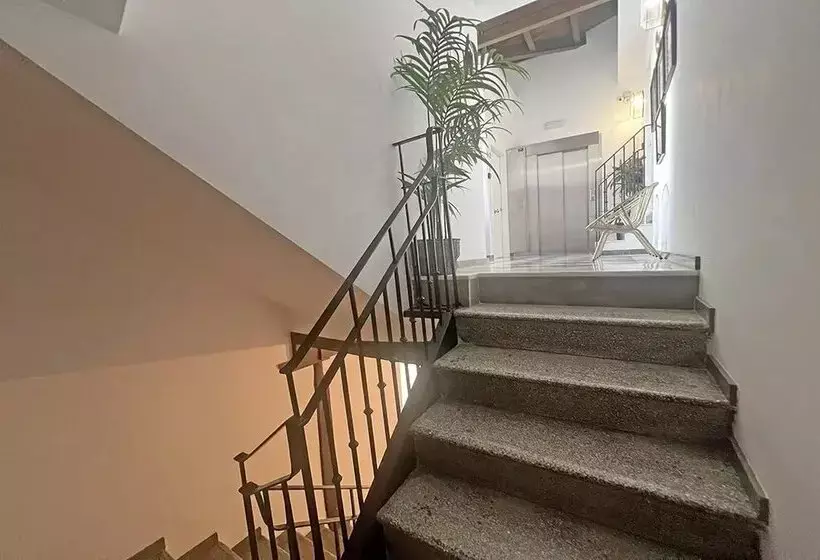 Apartamentos Real Suites Realejo 3000