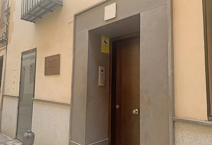 Apartamentos Real Suites Realejo 3000