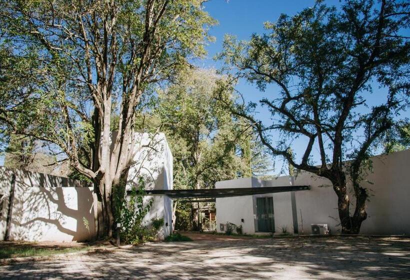 בית מלון כפרי Calina Casa De Huéspedes