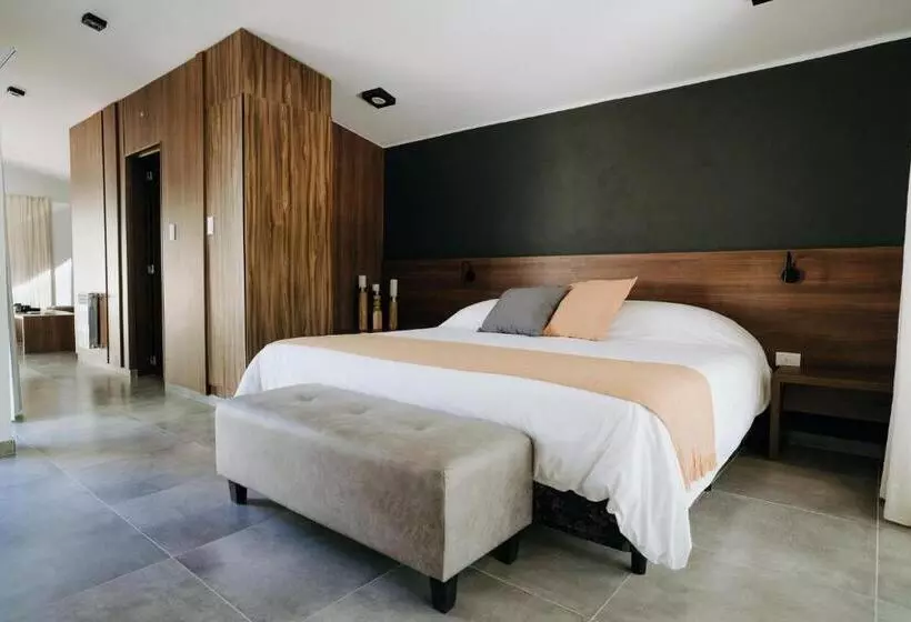 ホテル Calina Casa De Huéspedes