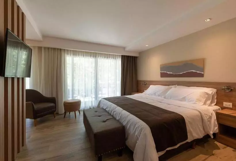 ホテル Calina Casa De Huéspedes