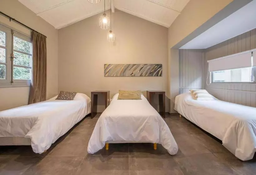 ホテル Calina Casa De Huéspedes