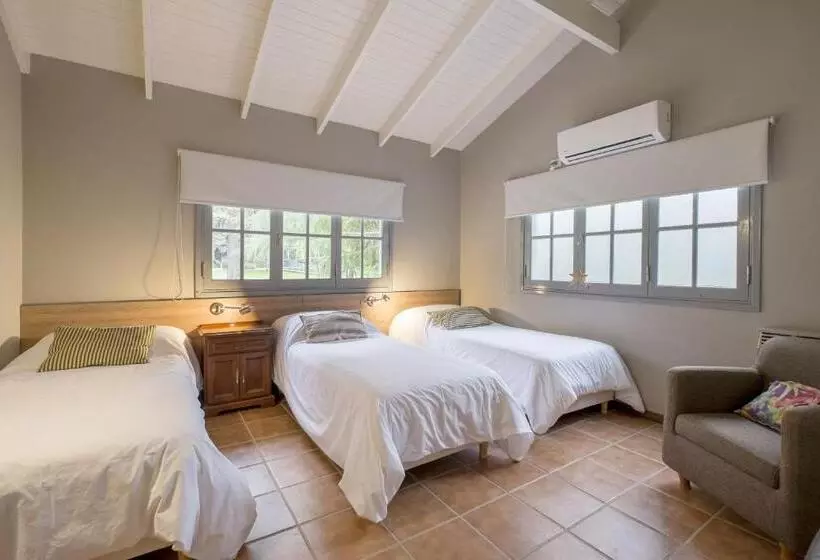ホテル Calina Casa De Huéspedes