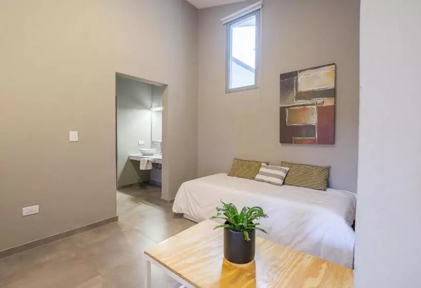 ホテル Calina Casa De Huéspedes
