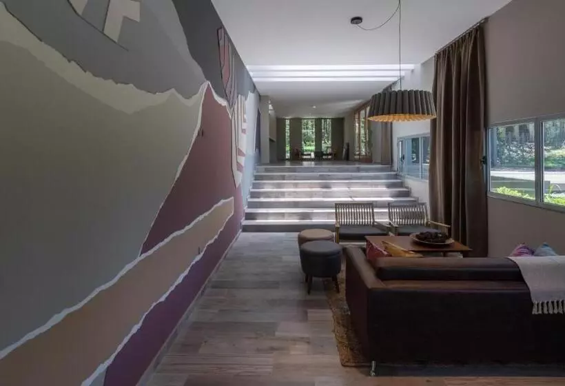 ホテル Calina Casa De Huéspedes
