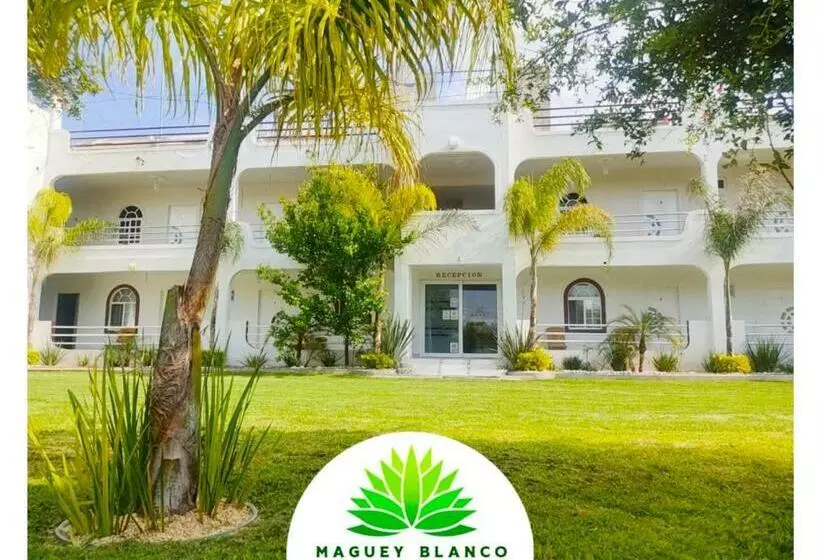 ホテル Maguey Blanco