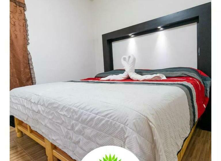 酒店 Maguey Blanco