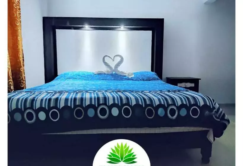 ホテル Maguey Blanco