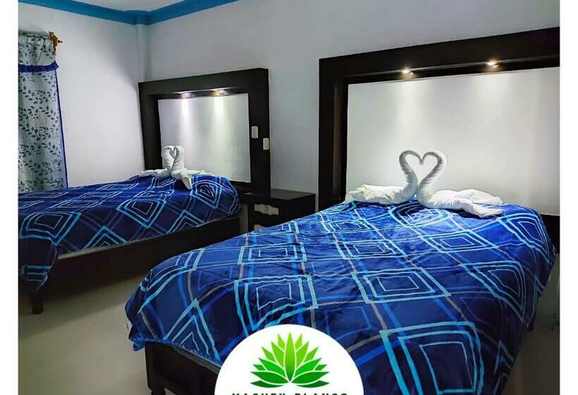 酒店 Maguey Blanco