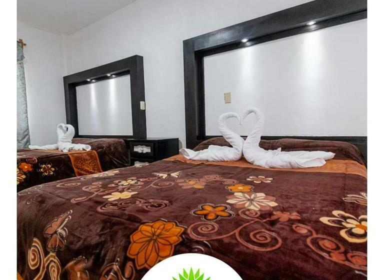 酒店 Maguey Blanco