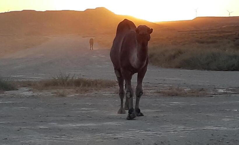 Отель Cueva Tardienta Monegros Adults Only