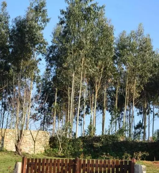 O Cabanel Albergue Bar