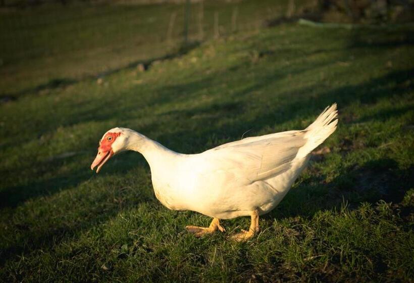 فندق Agriturismo Terra E Cielo