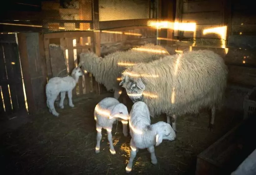 ホテル Agriturismo Terra E Cielo