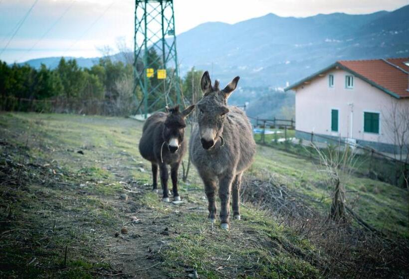 فندق Agriturismo Terra E Cielo