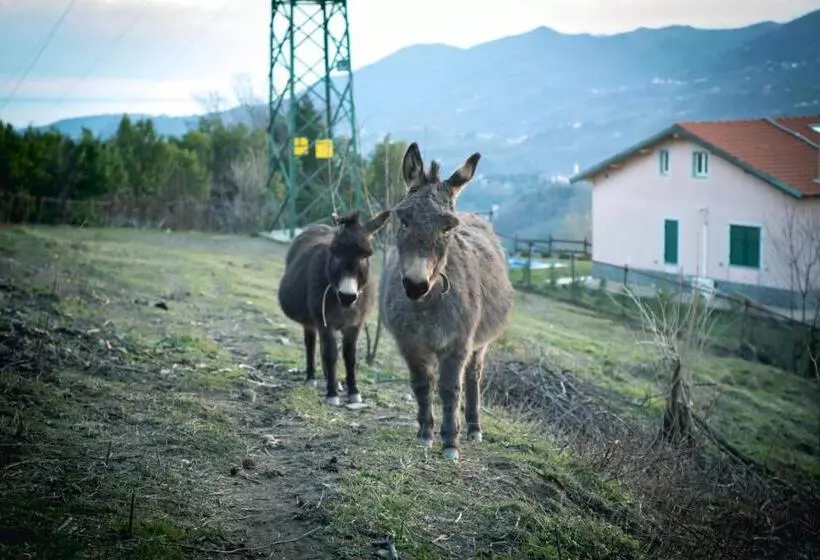 ホテル Agriturismo Terra E Cielo
