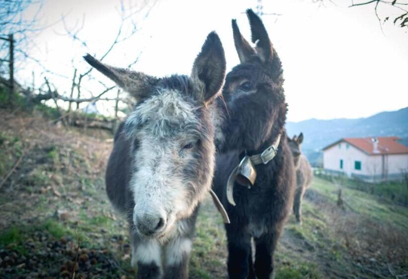 فندق Agriturismo Terra E Cielo