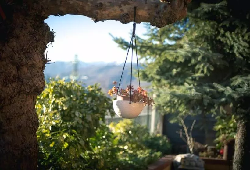 ホテル Agriturismo Terra E Cielo