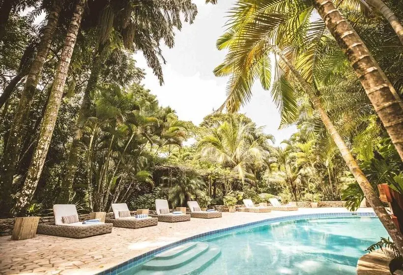 ホテル Copal Tree Lodge A Muy Ono Resort